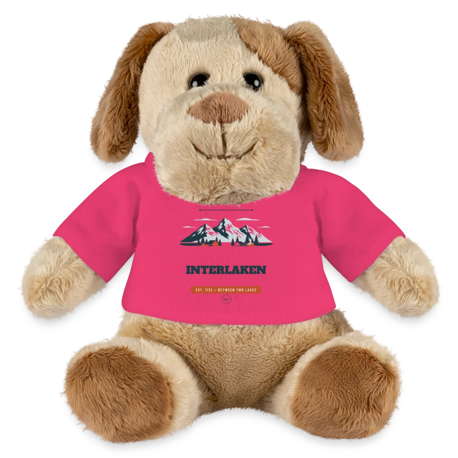 Interlaken badge on a minifeet® dog helge, pink