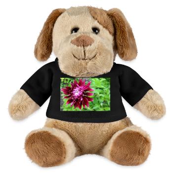 Dahlie, Blume, Blüte rot - MiniFeet® Hund Helge - Schwarz - Vorne