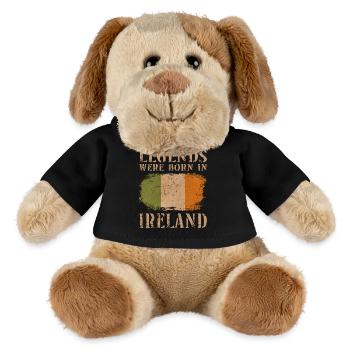 Vintage Design irische Flagge Irland - MiniFeet® Hund Helge - Schwarz - Vorne