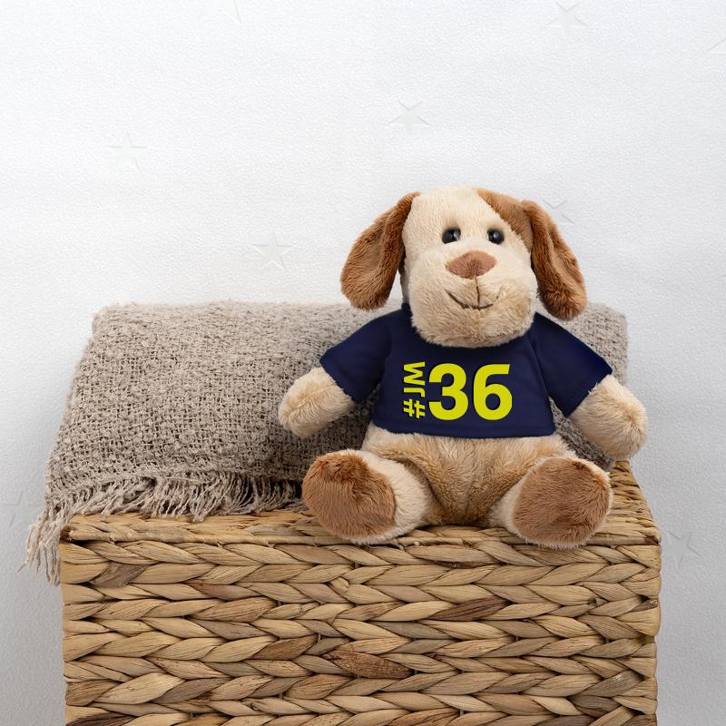 JM36-KARTON MiniFeet® Hund Helge