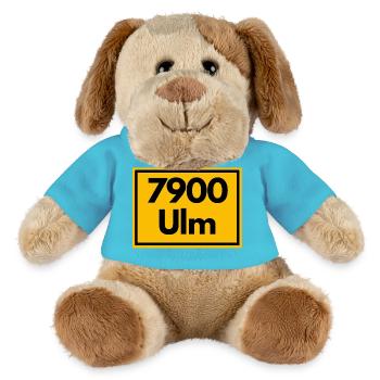 OLD POSTCODE POSTCODE RETRO 7900 ULM MÜNSTERSTADT - MiniFeet® Dog Helge - atoll blue - Front