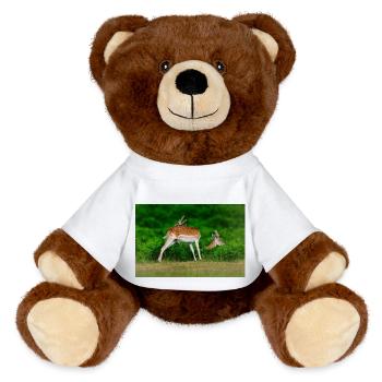 Fallow 2 - MiniFeet® RecycelBär® Teddy Bear Brown - white - Front