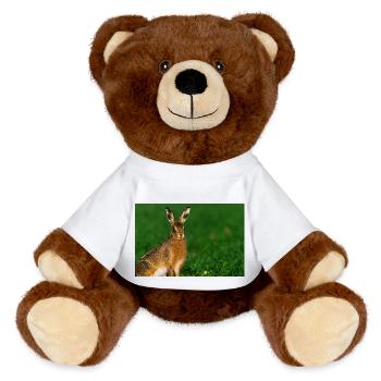 000 5819 DxO DeepPRIME XD2s XD - MiniFeet® RecycelBär® Teddy Bear Brown - white - Front