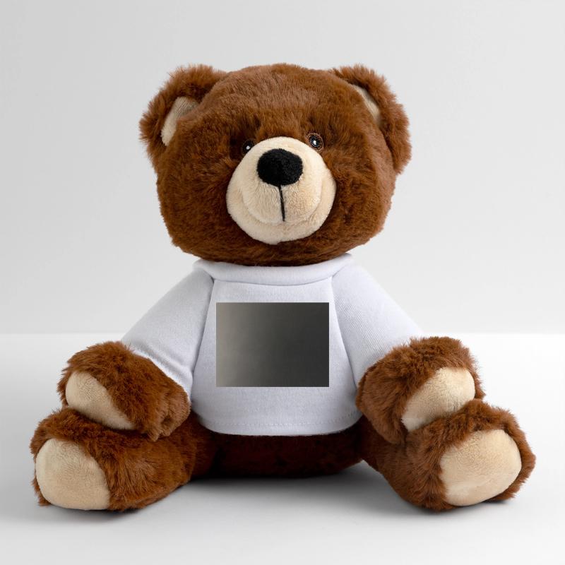 Dark Gray Fog Gradient MiniFeet® RecycelBär® Teddy Bear Brown