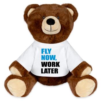 fly - MiniFeet® RecycelBär® Teddy Bear Brown - white - Front
