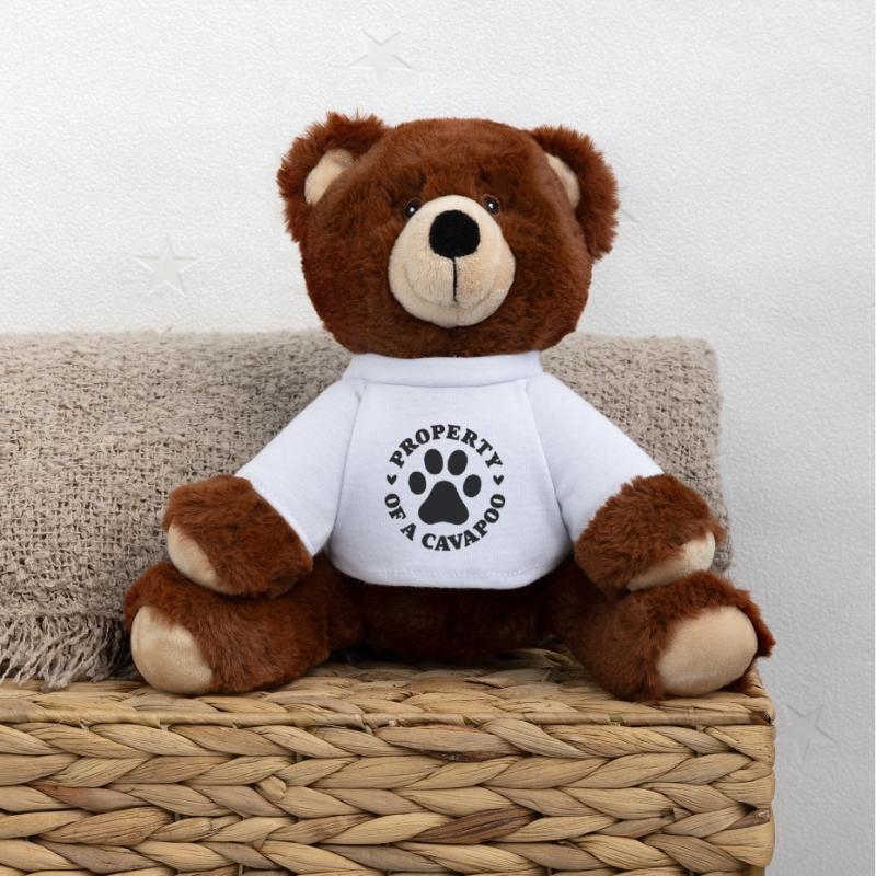 Eigentum eines Cavapoo MiniFeet® RecycelBär® Braun