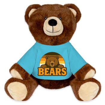 Bears Bearflag Pride Outfit - MiniFeet® RecycelBär® Braun - Atollblau - Vorne