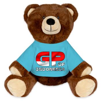 indonesia_gp - MiniFeet® RecycelBär® Teddy Bear Brown - atoll blue - Front