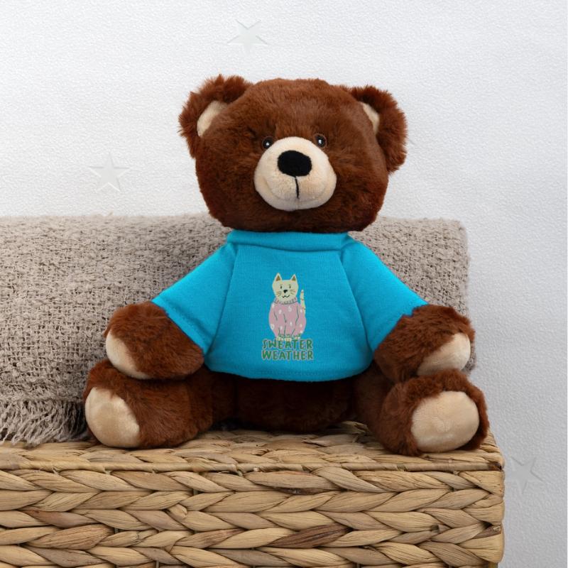 Chat en pull rose – Temps de pull Nounours RecycelBär® marron