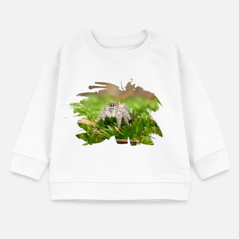 Phidippus texanus jumping spider, spring spinne. Sweat bébé bio Stanley/Stella