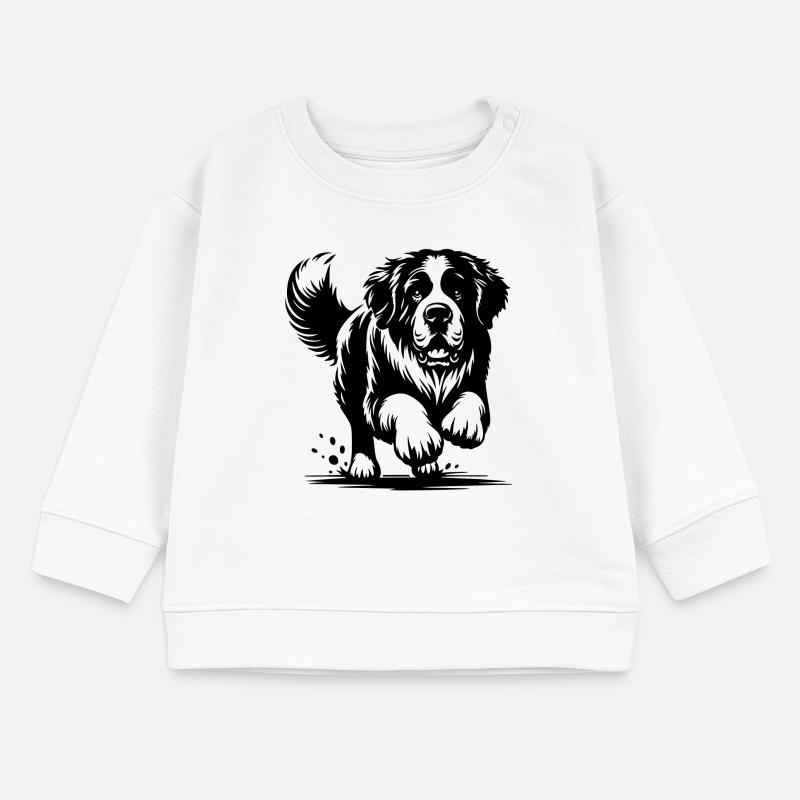 Saint-bernard Sweat bébé bio Stanley/Stella