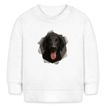 Curly Coated Retriever - Baby Organic Sweatshirt Baby Changer von Stanley/Stella - Weiß - Vorne