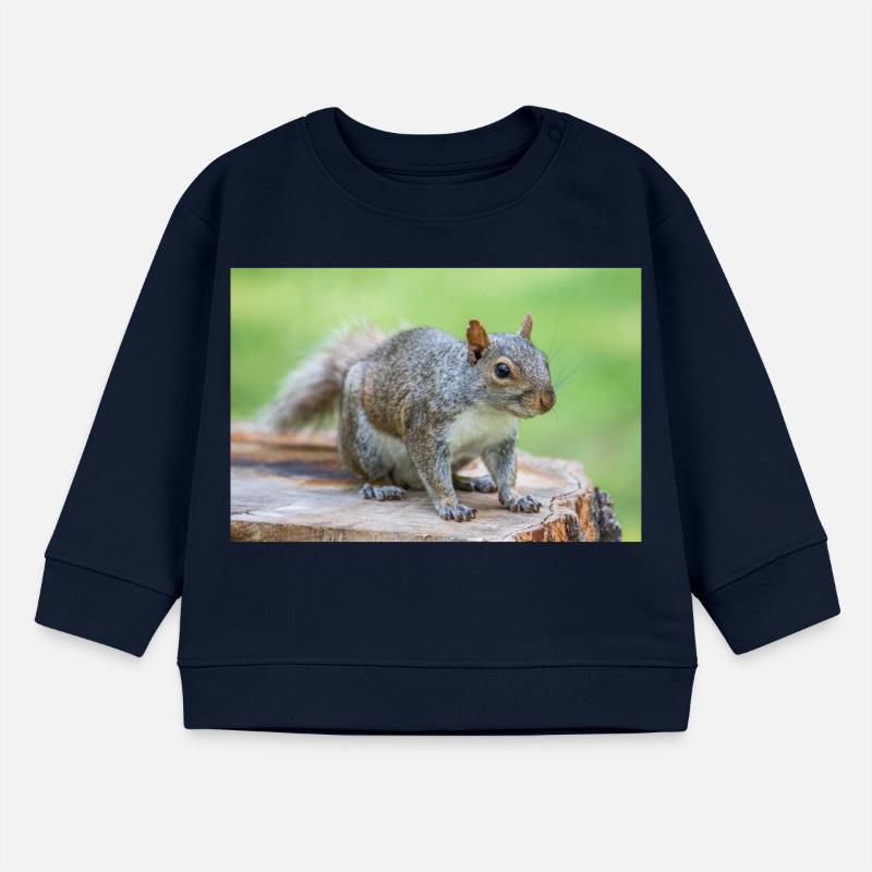 Grey squirrel Grauhörnchen Sciurus carolinensis Baby Sweatshirt by Stanley/Stella