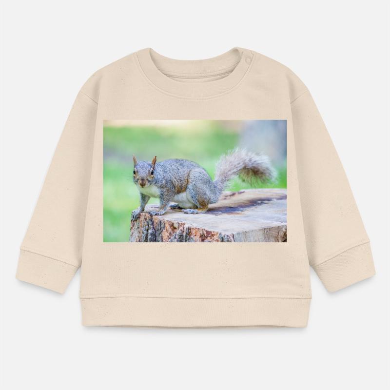 Écureuil gris Grauhörnchen Sciurus carolinensis Sweat bébé bio Stanley/Stella