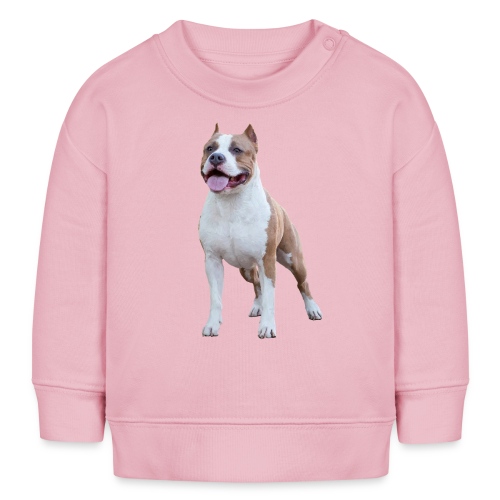 American Staffordshire Terrier - Stanley/Stella Bio-Sweatshirt BABY CHANGER