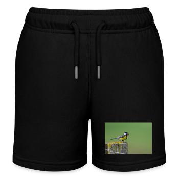 Great Tit Feeding Chicks - Kids Organic Sweat Shorts by Stanley/Stella - black - Front