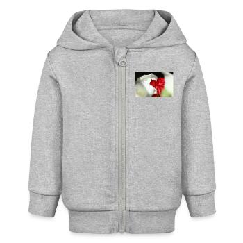 Weiße und rote Rosen - Baby Organic Kapuzenjacke Baby Connector von Stanley/Stella - Grau meliert - Vorne