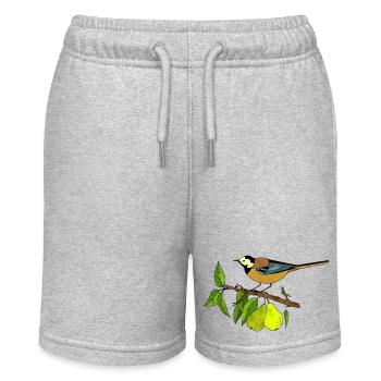 Bunter Vogel - Stanley/Stella Teenager Bio-Joggingshorts MINI BOLTER - Grau meliert - Vorne