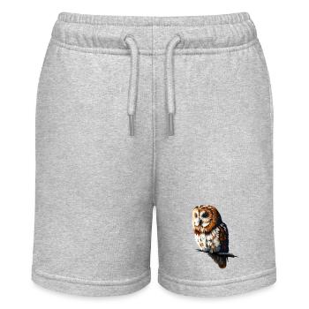 Waldkauz - Stanley/Stella Teenager Bio-Joggingshorts MINI BOLTER - Grau meliert - Vorne