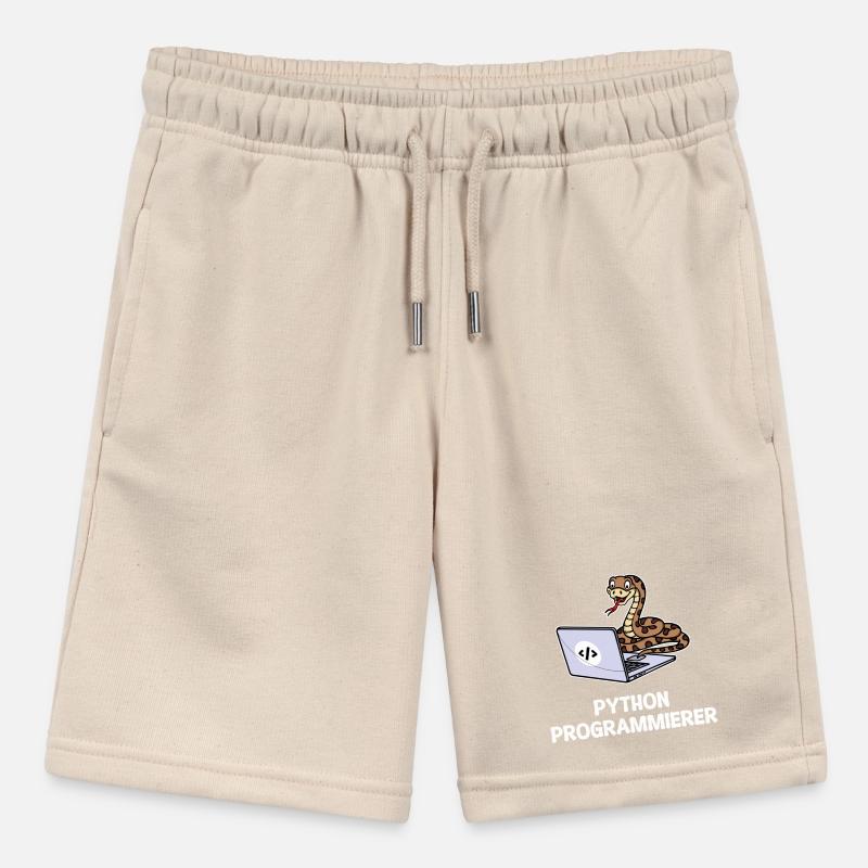 Développeur Coden Statement Programmeur informatique Short bio MINI BOLTER Stanley/Stella Ado