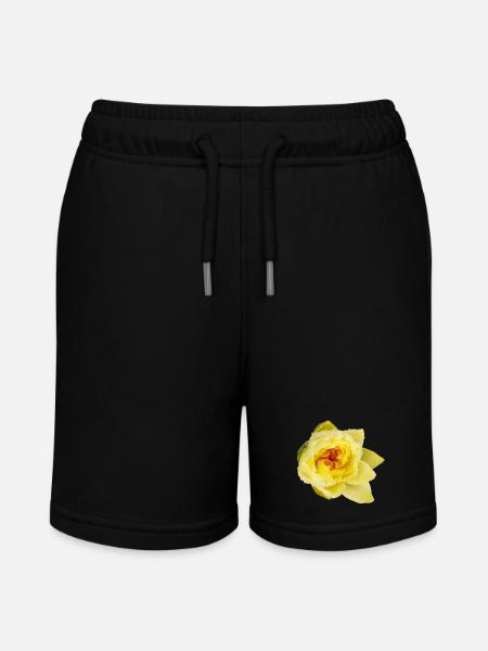 Yellow_Water_Lily_Flower_Close_Up - Short bio MINI BOLTER Stanley/Stella Ado - noir