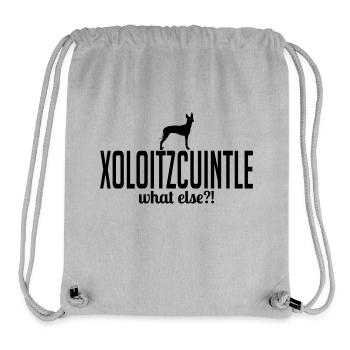 XOLOITZCUINTLE what else - Stanley/Stella recycelter Gym Bag - Grau meliert - Vorne