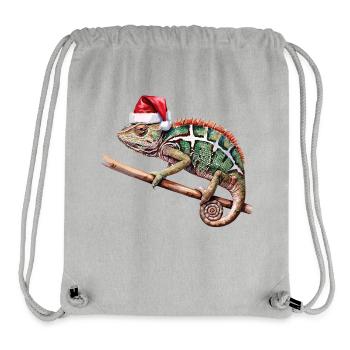 Christmas Chameleon - Stanley/Stella Recycled Gym Bag - heather grey - Front