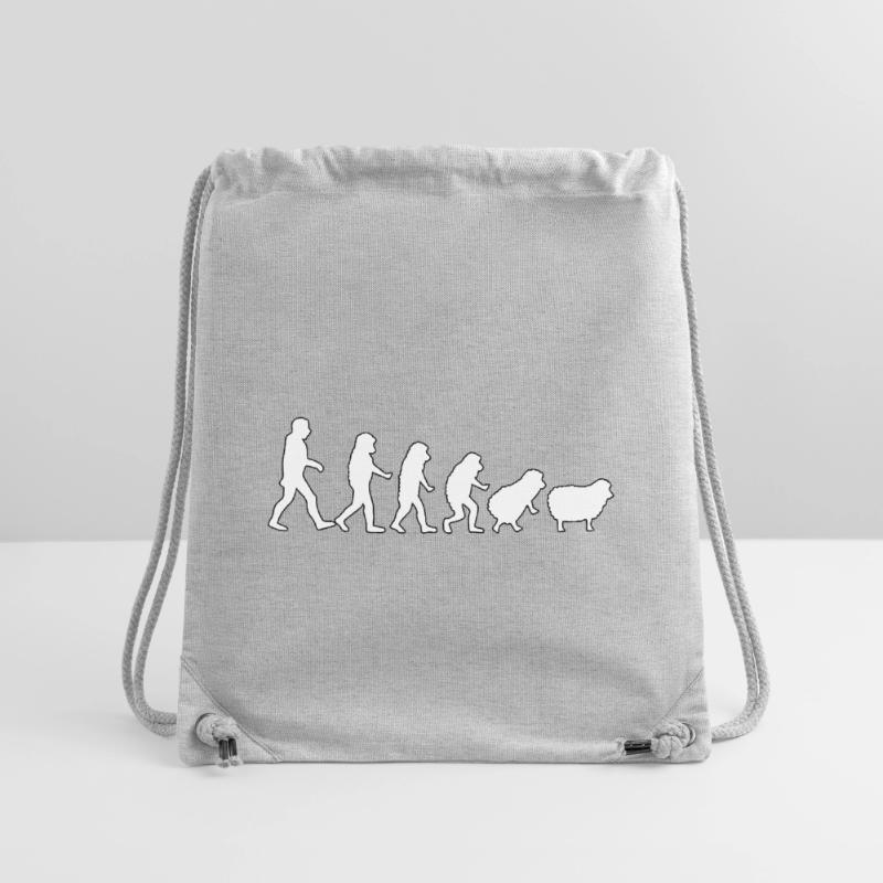 Evolution zum Schaf: Herdendenkweise Stanley/Stella recycelter Gym Bag