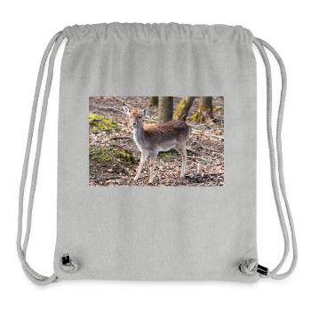 Fallow Deer (in german Damwild or Damhirsch) Dama - Stanley/Stella Recycled Gym Bag - heather grey - Front