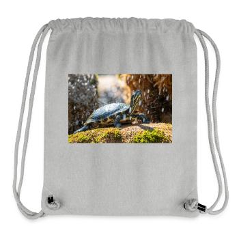Gelbbauch-Slider Trachemys scripta scripta - Stanley/Stella recycelter Gym Bag - Grau meliert - Vorne