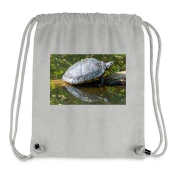 Glissière à ventre jaune Gelbbauch-Schmuckschildkröte - Sac à cordon recyclé Stanley/Stella - gris chiné - Devant