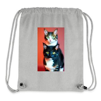Domestic short haired cats - Stanley/Stella Recycled Gym Bag - heather grey - Front