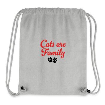 cats are family - Stanley/Stella Recycled Gym Bag - heather grey - Front