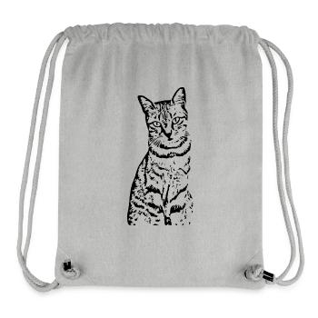 Katze Kätzchen Tigerkatze Katzenshirt Geschenk - Stanley/Stella recycelter Gym Bag - Grau meliert - Vorne