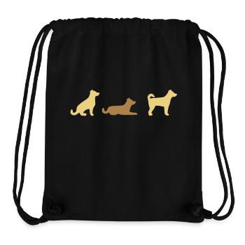 Sitz Platz Steh - Stanley/Stella recycelter Gym Bag - Schwarz - Vorne