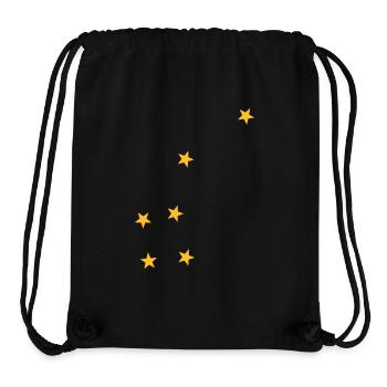 Sternzeichen Kleiner Bär - Stanley/Stella recycelter Gym Bag - Schwarz - Vorne