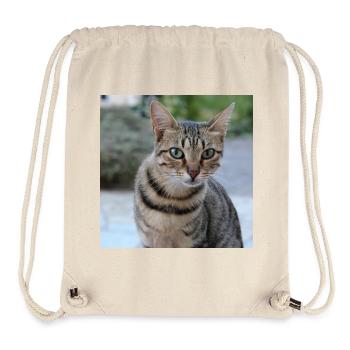 Cat Kitten Poster Square Cat Poster - Stanley/Stella Recycled Gym Bag - natural - Front
