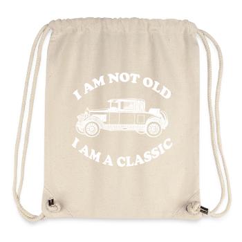 CLASSIC - Stanley/Stella Recycled Gym Bag - natural - Front