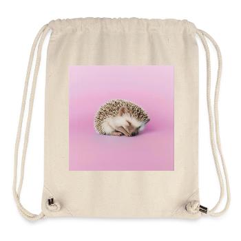 Sleeping hedgehog on pasty pink background - Stanley/Stella Recycled Gym Bag - natural - Front