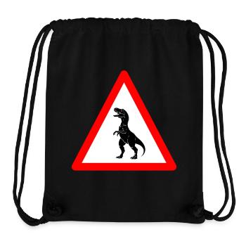 Hüte dich vor Tyrannosaurus Rex voraus - Stanley/Stella recycelter Gym Bag - Schwarz - Vorne