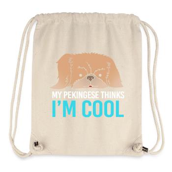 Pekinese Peningese - Stanley/Stella recycelter Gym Bag - Naturweiß - Vorne