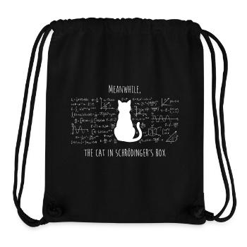 Schrödingers Katze – Physik & Wissenschaft Design - Stanley/Stella recycelter Gym Bag - Schwarz - Vorne