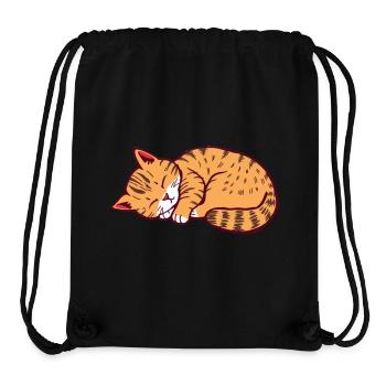 schlafende Katze Kätzchen Tigerkatze - Stanley/Stella recycelter Gym Bag - Schwarz - Vorne