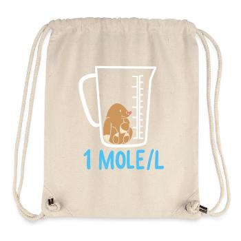 Science teaching - Stanley/Stella Recycled Gym Bag - natural - Front