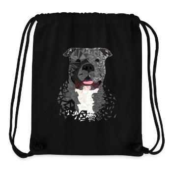 American Bully XL Polygon künstlerisch gestaltet - Stanley/Stella recycelter Gym Bag - Schwarz - Vorne