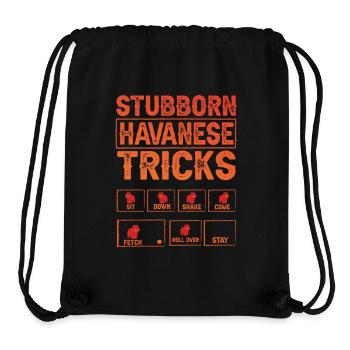 Stubborn Havanese Tricks - Stanley/Stella Recycled Gym Bag - black - Front