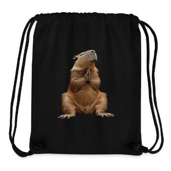 Wasserschwein - Stanley/Stella recycelter Gym Bag - Schwarz - Vorne