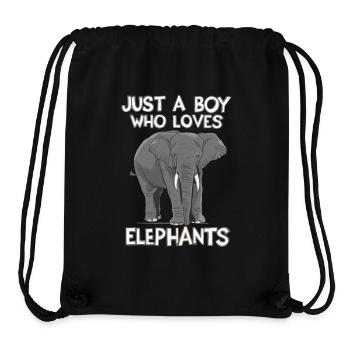Elefant Tier Elefanten Zoo - Stanley/Stella recycelter Gym Bag - Schwarz - Vorne