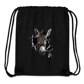 Esel - Stanley/Stella recycelter Gym Bag - Schwarz - Vorne