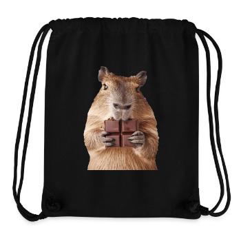 Wasserschwein - Stanley/Stella recycelter Gym Bag - Schwarz - Vorne